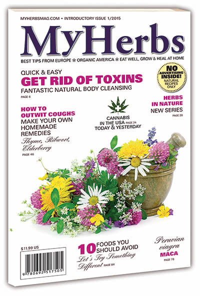 MYHERBS-Introductory