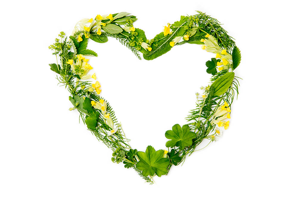 8 Herbs for the Heart
